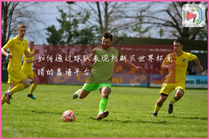 如何通过球队表现判断买世界杯竞猜的靠谱平台