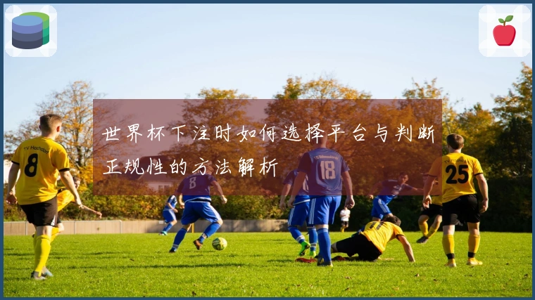 世界杯下注时如何选择平台与判断正规性的方法解析