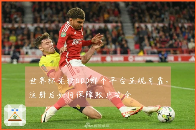 世界杯竞猜app哪个平台正规可靠，注册后如何保障账户安全