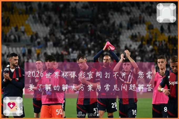 2026世界杯体彩官网打不开,您需要了解的解决方案与常见问题解答