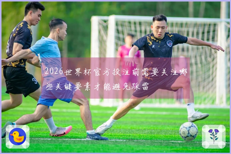 2026世界杯官方投注前需要关注哪些关键要素才能避免踩雷