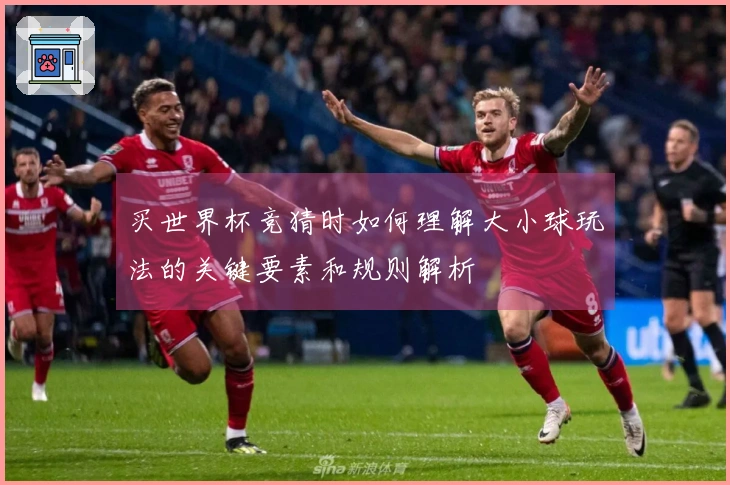 买世界杯竞猜时如何理解大小球玩法的关键要素和规则解析