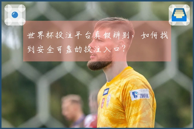 世界杯投注平台真假辨别，如何找到安全可靠的投注入口？