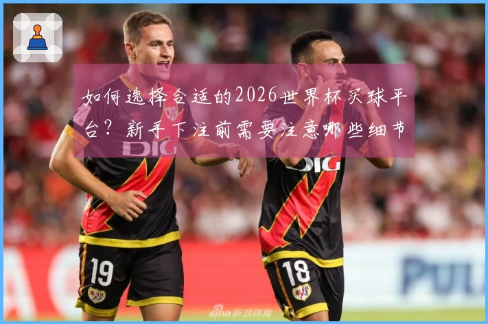 如何选择合适的2026世界杯买球平台?新手下注前需要注意哪些细节?