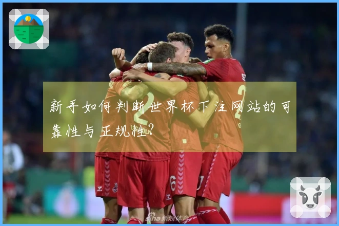 新手如何判断世界杯下注网站的可靠性与正规性？