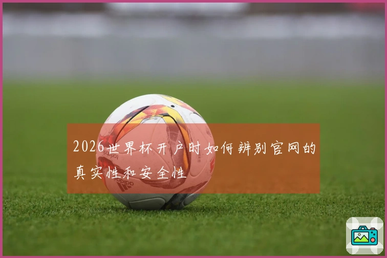 2026世界杯开户时如何辨别官网的真实性和安全性