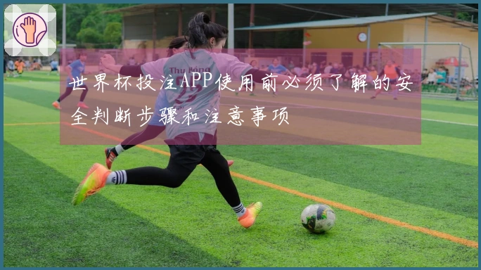 世界杯投注APP使用前必须了解的安全判断步骤和注意事项
