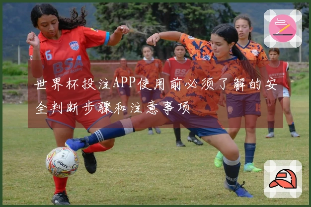 世界杯投注APP使用前必须了解的安全判断步骤和注意事项