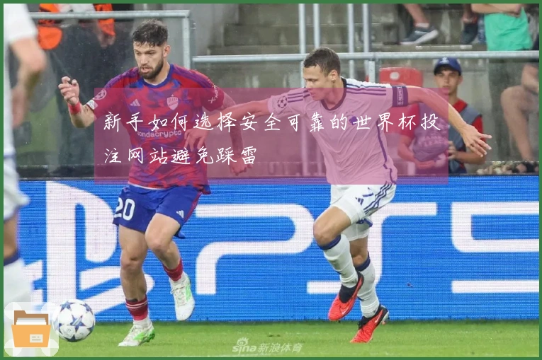 新手如何选择安全可靠的世界杯投注网站避免踩雷