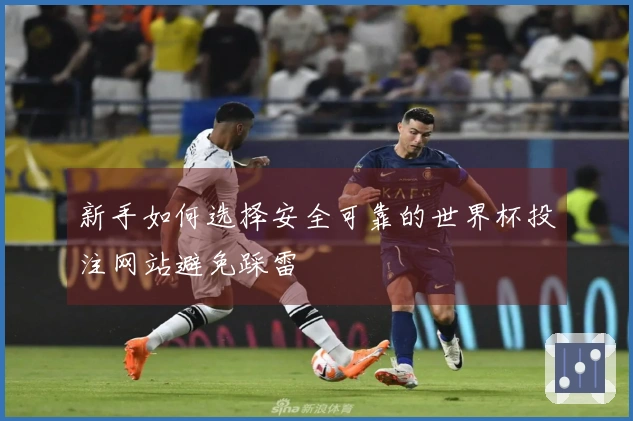 新手如何选择安全可靠的世界杯投注网站避免踩雷