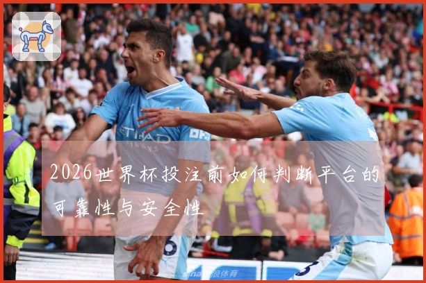 2026世界杯投注前如何判断平台的可靠性与安全性
