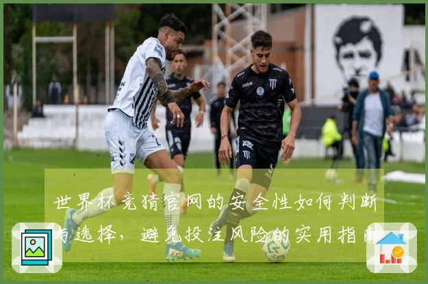 世界杯竞猜官网的安全性如何判断与选择，避免投注风险的实用指南