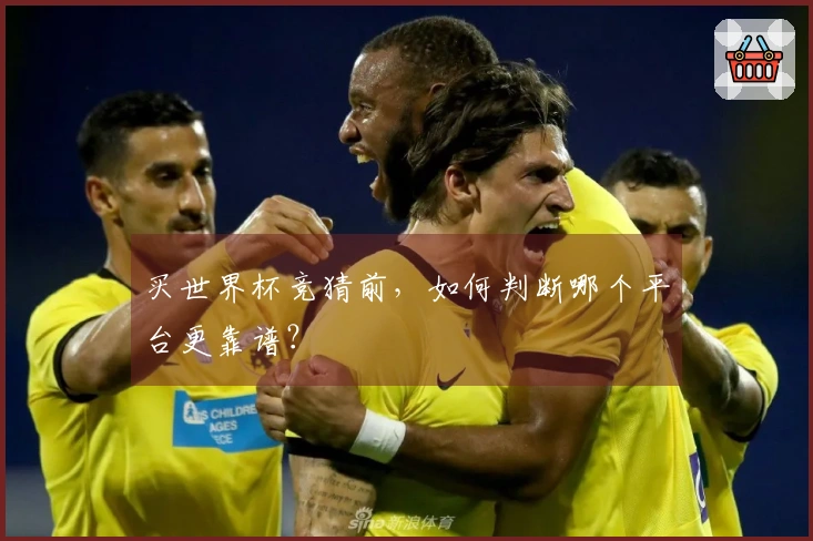 买世界杯竞猜前,如何判断哪个平台更靠谱?