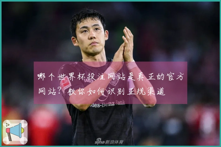 哪个世界杯投注网站是真正的官方网站?教你如何识别正规渠道