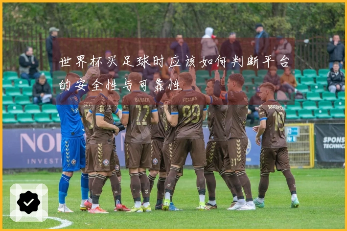 世界杯买足球时应该如何判断平台的安全性与可靠性
