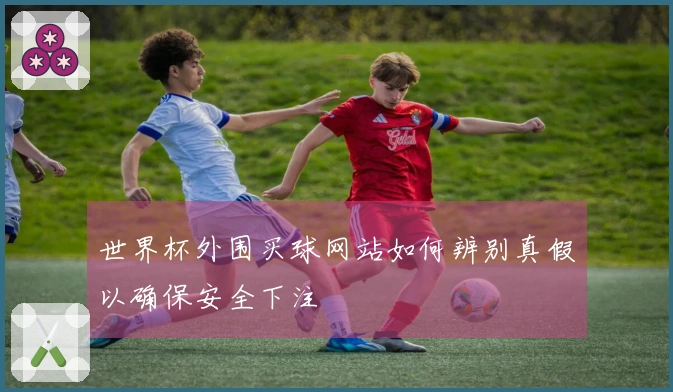 世界杯外围买球网站如何辨别真假以确保安全下注