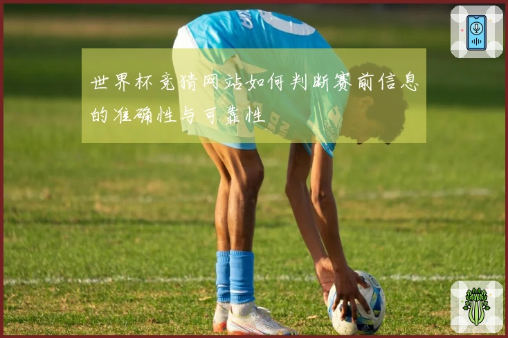 世界杯竞猜网站如何判断赛前信息的准确性与可靠性