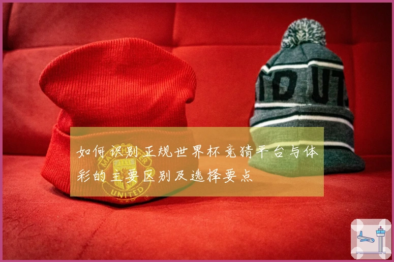 如何识别正规世界杯竞猜平台与体彩的主要区别及选择要点