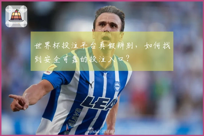 世界杯投注平台真假辨别，如何找到安全可靠的投注入口？