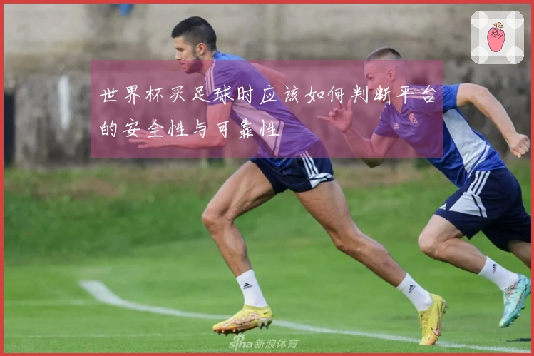世界杯买足球时应该如何判断平台的安全性与可靠性